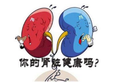 全自動(dòng)生化檢測(cè)儀檢測(cè)腎功能主要檢測(cè)項(xiàng)目—山東國(guó)康