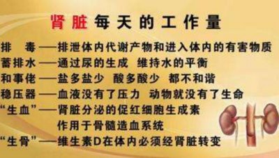 生化分析儀廠家淺腎功能不全的表現(xiàn)，你有嗎—山東國(guó)康