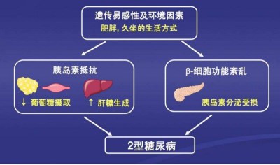 生化分析儀廠家淺談2型糖尿病有哪些表現(xiàn)-山東國康