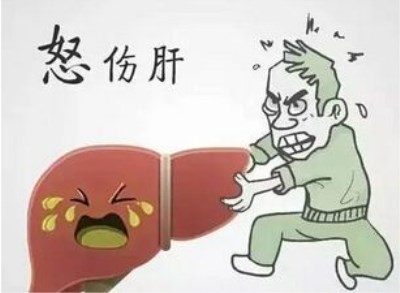 全自動(dòng)生化分析儀講述情緒暴躁原來是肝臟在作怪-山東國(guó)康