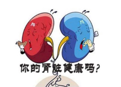 生化儀品牌講述腎功能好不好看這里-山東國康