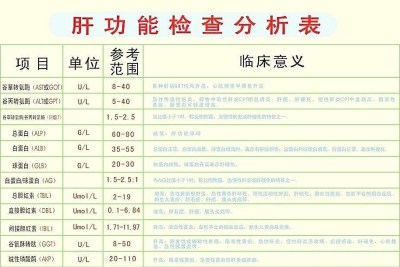 生化分析儀廠家叫之肝功能檢驗項目-山東國康