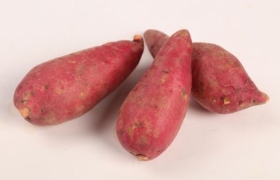 全自動(dòng)生化儀品牌淺談糖尿病可以吃紅薯嗎-山東國(guó)康
