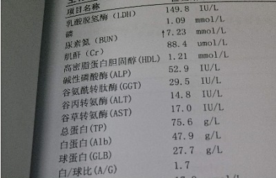 全自動生化分析儀檢測到尿素氮偏高怎么辦，山東國康