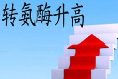 全自動生化儀品牌檢測谷丙轉(zhuǎn)氨酶升高-山東國康