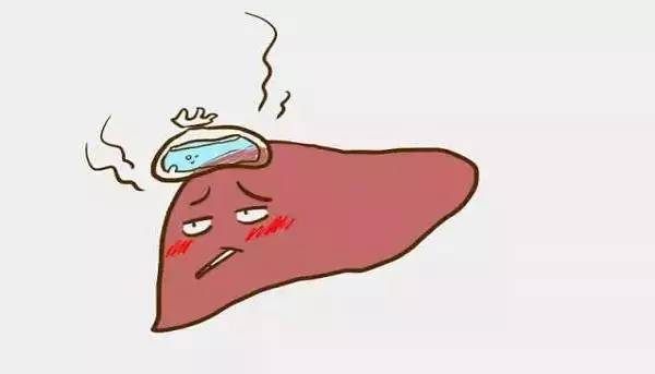 生化檢測儀闡述肝功能衰竭