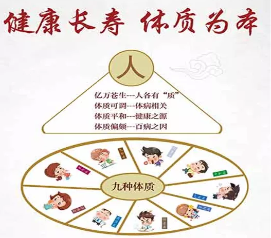 中醫(yī)診療設(shè)備便捷式中醫(yī)體質(zhì)辨識(shí)儀器幫助辨別體質(zhì)分類與判定